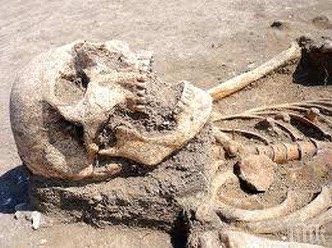 Откриха нов вид хора 