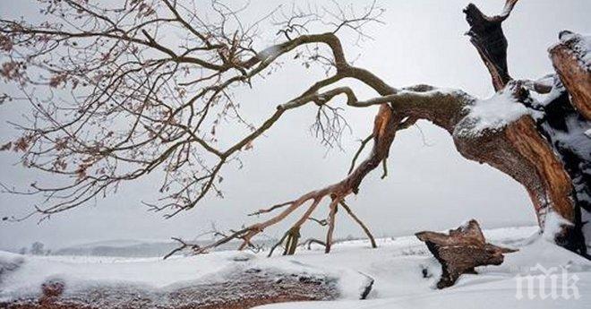 Спиращи дъха гледки от снежна и красива България! Не могат да бъдат описани с думи! 