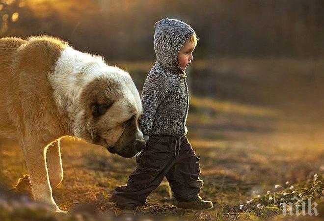 Община Варна търси социални работници за приемната грижа