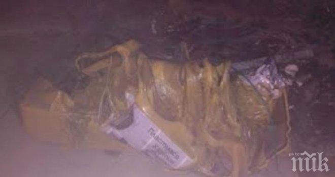 Подпалиха контейнер за разделно събиране във Варна