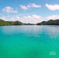 Над 1500 ентусиасти се гмурнаха на коледно плуване в Женевското езеро