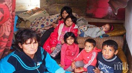 напг притеснени сме връщането деца родните семейства всяка цена