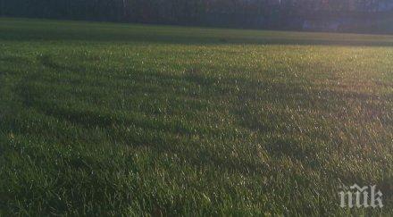 расте зеленият килим спортен комплекс локомотив