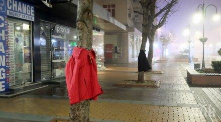 дърветата витошка събудиха нова премяна снимки