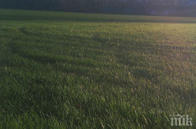 Расте зеленият килим в спортен комплекс Локомотив