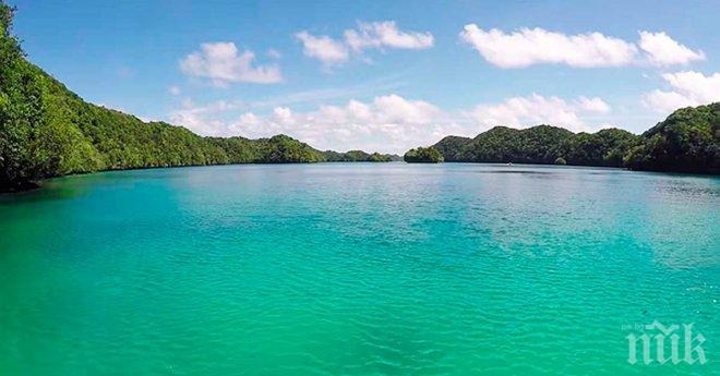 Над 1500 ентусиасти се гмурнаха на коледно плуване в Женевското езеро