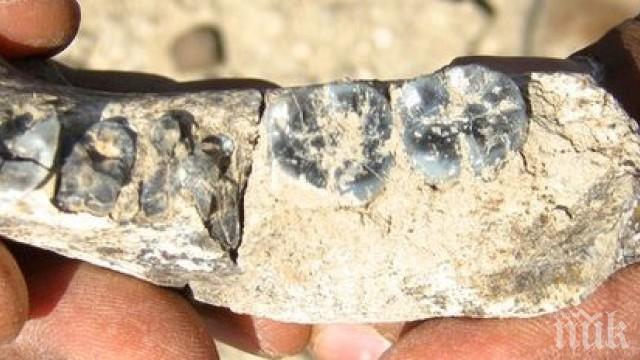 75 души са убити на протестите в Етиопия