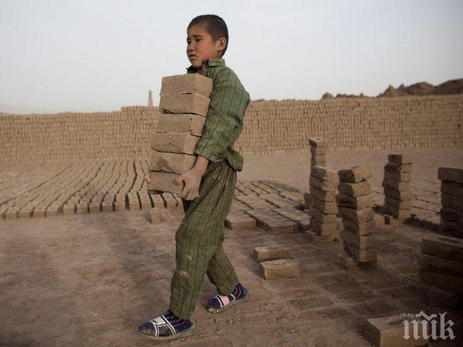 Около 35,8 милиона души по света живеят в робски условия
