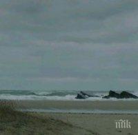 Сириец преплува сам от Турция до Гърция за по-добър живот