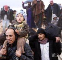 Чудо: Рекорден брой бежанци искат да напуснат Финландия и да се върнат в родината си