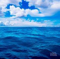 Датски принц спасен от удавяне в Австралия