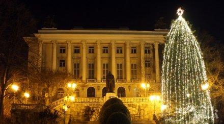 габровската елха отново свети предпразнично
