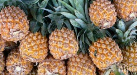 холандската полиция откри един тон наркотици пратка ананаси