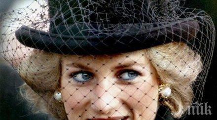 продадоха книга детството принцеса даяна