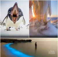 Вижте едни от най-красивите снимки на 