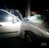 Верижна катастрофа край Сандански! Две коли се нанизаха в ТИР