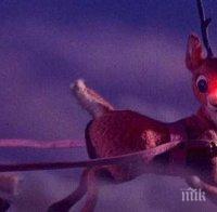 Инженер създаде роботи елени