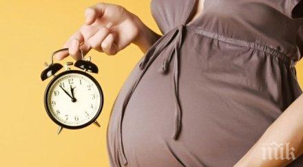 арестуваха французойка преструвала бременна подозират планирала атентат