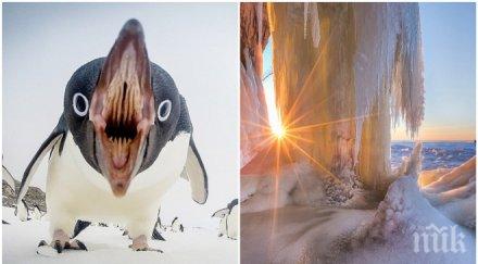 вижте едни красивите снимки нешънъл джиографик