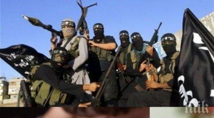 страхът джихадистите баба изпадна истерия заради двойка прославяща ислямска държава време секс