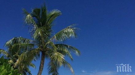 около 150 хил чехи отпразнуват коледа почивка екзотична страна