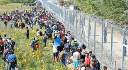 половината шведи против приема бежанци страната