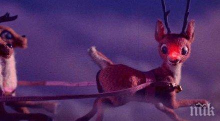 инженер създаде роботи елени