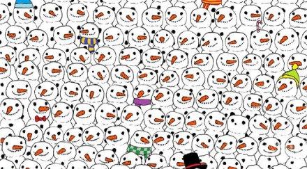 трудно отколото мислиш открий пандата