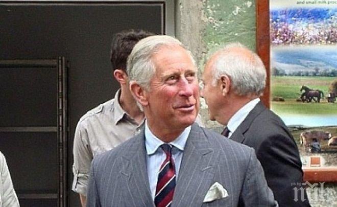 Психичноболен британец искал да убие Чарлз, за да стане Хари крал 