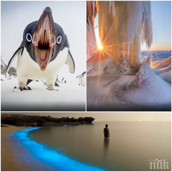 Вижте едни от най-красивите снимки на Нешънъл джиографик