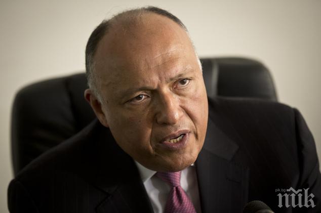 Египетските власти призоваха Турция да изтегли войските си от Ирак
