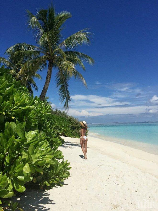 Около 150 хил. чехи ще отпразнуват Коледа на почивка в екзотична страна