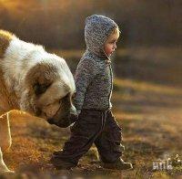 22 деца живеят в двата Центъра за настаняване от семеен тип в Смолян
