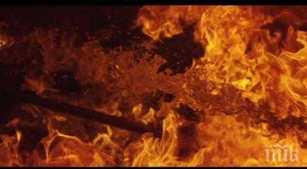 бус кола изгоряха пловдив бъдни вечер