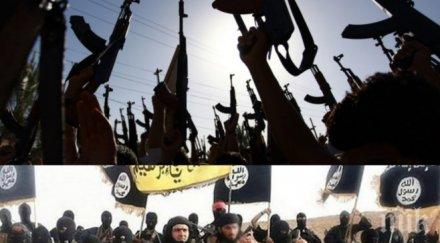 спецчасти сащ заловили топглаватар даеш