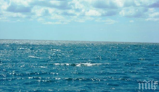 Рекорд на температурата на водата в Средиземно море