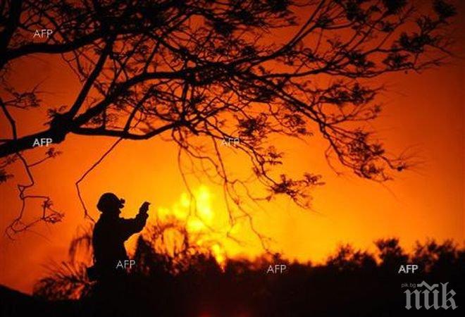 Огромни пожари в Австралия: Огнената стихия изпепели най-малко 53 къщи, стотици хора бягат от домове си
