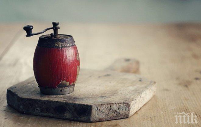 Децата на гурбет, а родителите гладуват