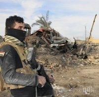 Заловиха ковчежника на 