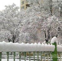 Първи сняг в София