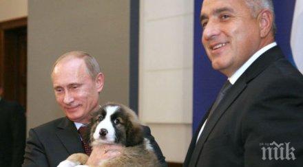 кучето бъфи грейна календара путин 2016 видео