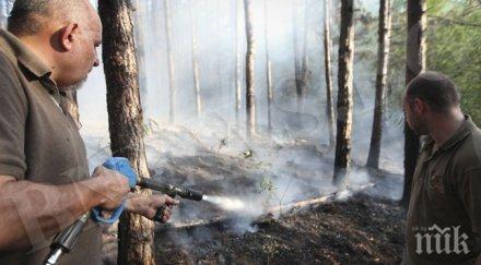 пожарът златоград вече локализиран