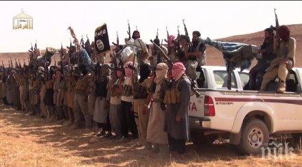 благодарение помощта спецслужбите мароко европа предотвратени серия терористични актове