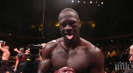 уайлдър размажа шпилка