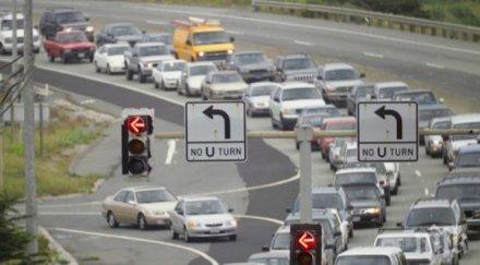 близо млн големи дървета калифорния заплашени сушата