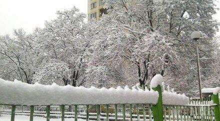 първи сняг софия