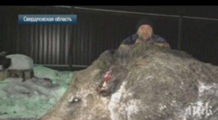 схватка горско чудовище завършила трагично ловец