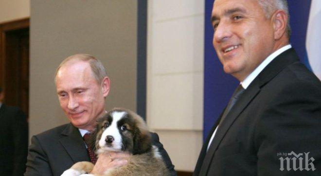 Кучето Бъфи грейна на календара на Путин за 2016 г. (видео)
