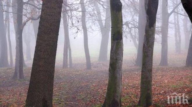 Синптици от БАН предупреждават: Студът идва, придружен със силен северен вятър, на места ще вали дъжд