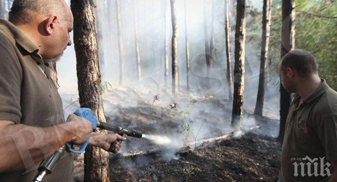 Пожарът край Златоград вече е локализиран